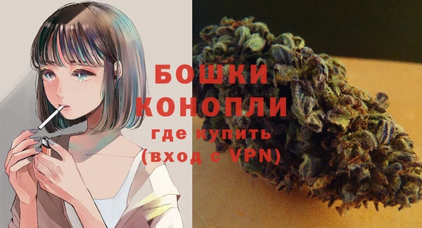 винт Аркадак