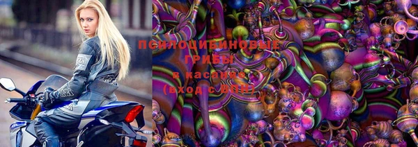 винт Аркадак